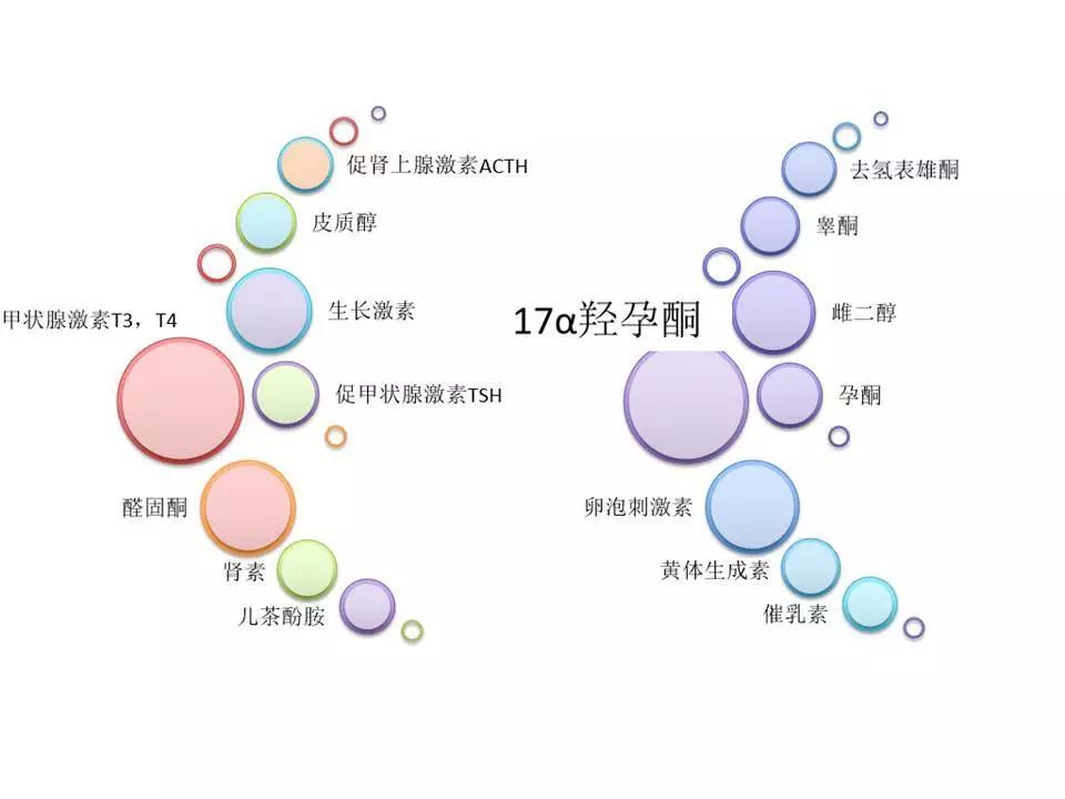 17-ohp图片