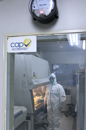 from clipboard from clipboard