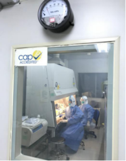 from clipboard from clipboard