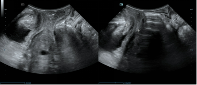 from clipboard from clipboard