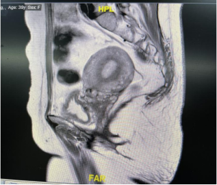 from clipboard from clipboard