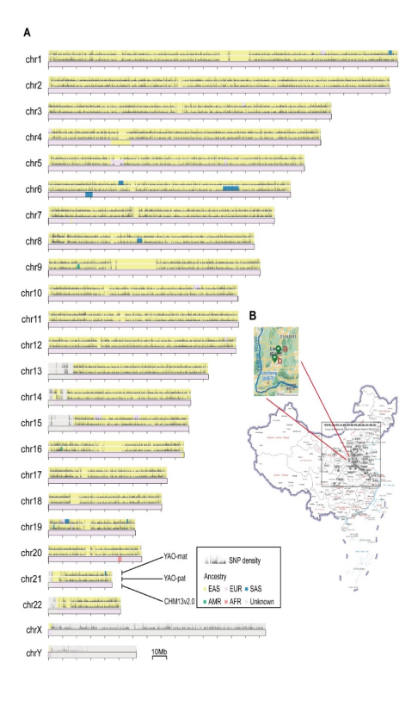 from clipboard from clipboard