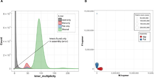 from clipboard from clipboard
