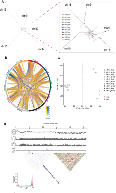 from clipboard from clipboard